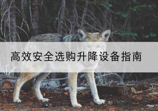 疏附升降货梯厂家推荐-*安全选购升降设备指南
