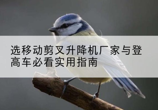 疏附电动升降机厂家-选移动剪叉升降机厂家与登高车必看实用指南