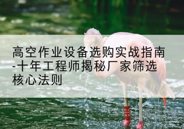疏附剪叉式升降机厂家-高空作业设备选购实战指南-十年工程师揭秘厂家筛选核心法则